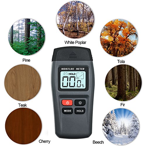 ERAY Digital Moisture Meter for Wood with Backlight LCD, Pin Type, Measure Firewood/Furniture/Floor/Trees Moisture Content - Battery Included