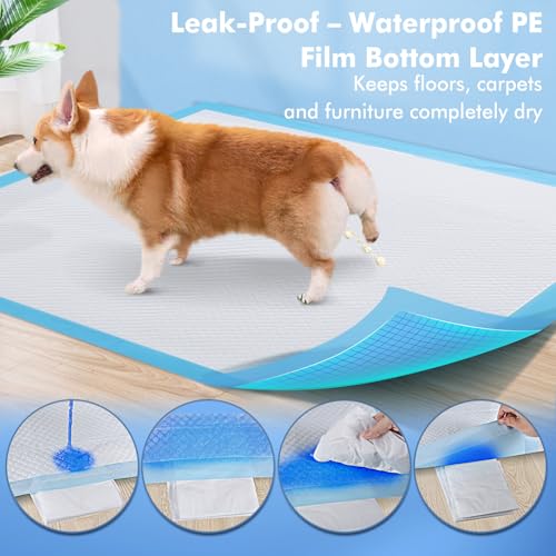 Image of Puppy Pads XXXL 31 inchx 55 inch 40 Count,Pee Pads for Large Dogs & Multi-pet Families, Disposable Pet Training Pads for Doggie,Cat , Incontinence Underpads Ultra Absorbent & Quick-Dry, Leakproof Potty Pad