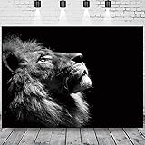 LB Lion King Backdrop for Photography 7x5ft Animal in Black Photo Background Studio Prop Vinyl...