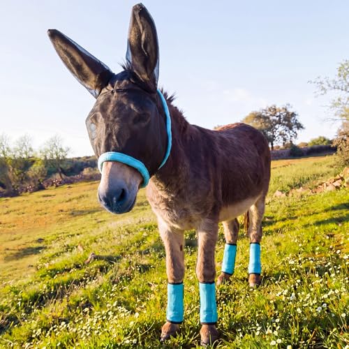 Yeyeplum Mini Donkey Fly Mask with Ears and 4 Set Donkey Fly Boots Mule Leggings Breathable Stretchy Mule Leg Wraps Mask Boots with Mesh Eye Covers from Insects and Bugs with Adjustable