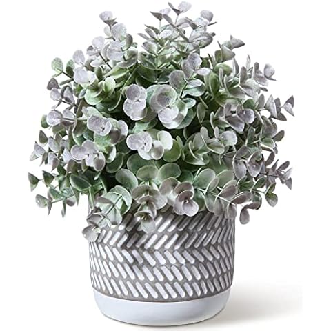Kazeila Mini Fake Plants Artificial Plants Indoors in Pots Faux Eucalyptus Plants Decoration for Home Office Desk Bedroom Living Room(1Pack) Cover