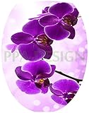 PPA DESIGN