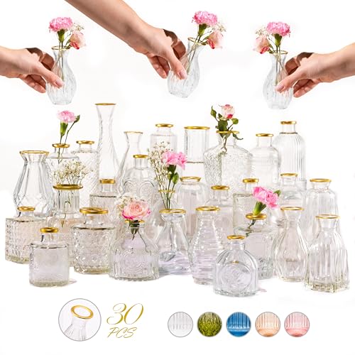 Premium Heirloom Hills Bud Vases for Home Decor, Crystal Clear