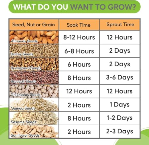 Image of Rellon Sprout Maker Glass Jar Seed Sprouting Kit, 2 Large Wide Mouth Mason Jars with Sprout Lids, Drain Tray, Sprouts Growing Kit for Seeds Dal Channa CholeOrganic Sprouting Jar(750Ml) (PACK OF 1)