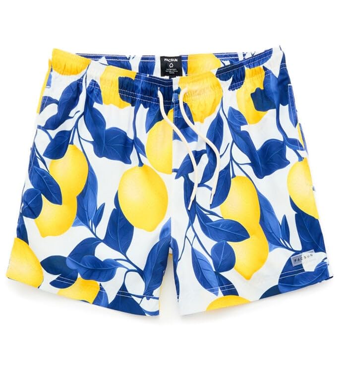 PacSun Men's Lemons Eco 4.5
