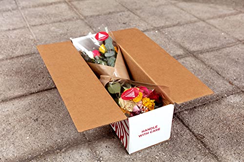 Red Roses Fresh Flowers Delivery By Fri, March 10Th- 2 Dozen Roses For Delivery/Farmhouse Flowers For Delivery - Fresh Cut Long Stem Roses Bouquet Of Flowers Birthday Gifts For Women -Aquarossa Farms #TOP3