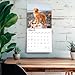 Golden Retrievers | 2026 12 x 24 Inch (Hanging) Monthly Square Wall Calendar | Foil Stamped Cover | Plastic-Free | BrownTrout | Animals Dog Breeds Retriever