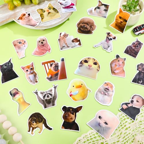 Set de 25 imanes decorativos divertidos con diseño de animales miniatura 4