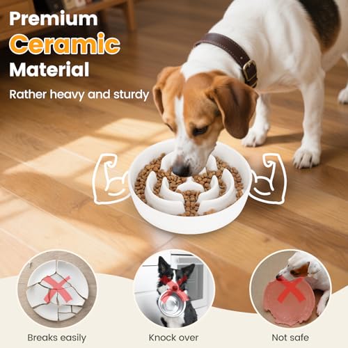 PETTOM Antischlingnapf Hunde Keramik, Anti Schling Napf Hund Ø 21cm, Schlingnapf Hunde Groß Nassfutter, Slow Feeder Hundenapf für Große und Kleine Hund