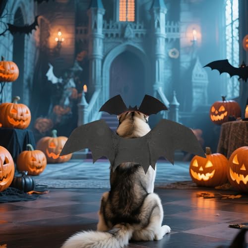 Disfraz de alas de murciélago para perros Halloween miniatura 7