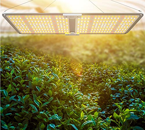 MAGLONG 2020 Upgrade M2000 Led Grow Light - with Samsung LED Chips & Mean Well Driver, Quantum Board Plant Grow Lights and Dimmable Function for Hydroponic Indoor Seeding Veg and Flower Greenhouse