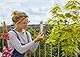 Gardena ClickUp! Solarlampe: schaltet Sich automatisch bei Dunkelheit EIN & ClickUp! Balkonhalterung: Universelle Halterung für alle ClickUp! Produkte, leicht in der Handhabung (11410-20)