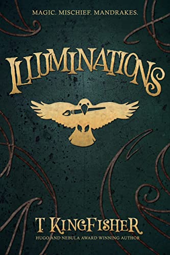 Cover of Illuminations
