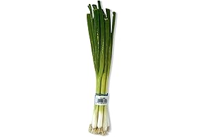 Green Onions - Scallions, One Bunch
