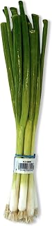 Fresh KOBACH Green Onions Scallions Bunch - 6-8 Stems for Stir Fry, Soup, Salads | Mexico Grown