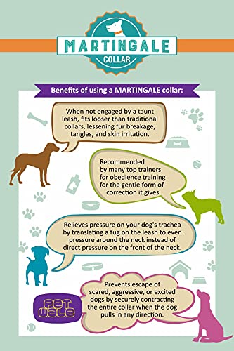 PetWale-Orange-Fabric-Dog-Martingale-Collar-Comfy-Secure-Fit-No-Neck-Strains-Easy-to-Use-Durable-Stylish-Design-Dog-Accessory-Size-M