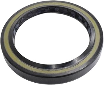 Amazon.com: JUGJCKJL R921850806 Shaft Oil Seal 57.15x76.2x9.53/for