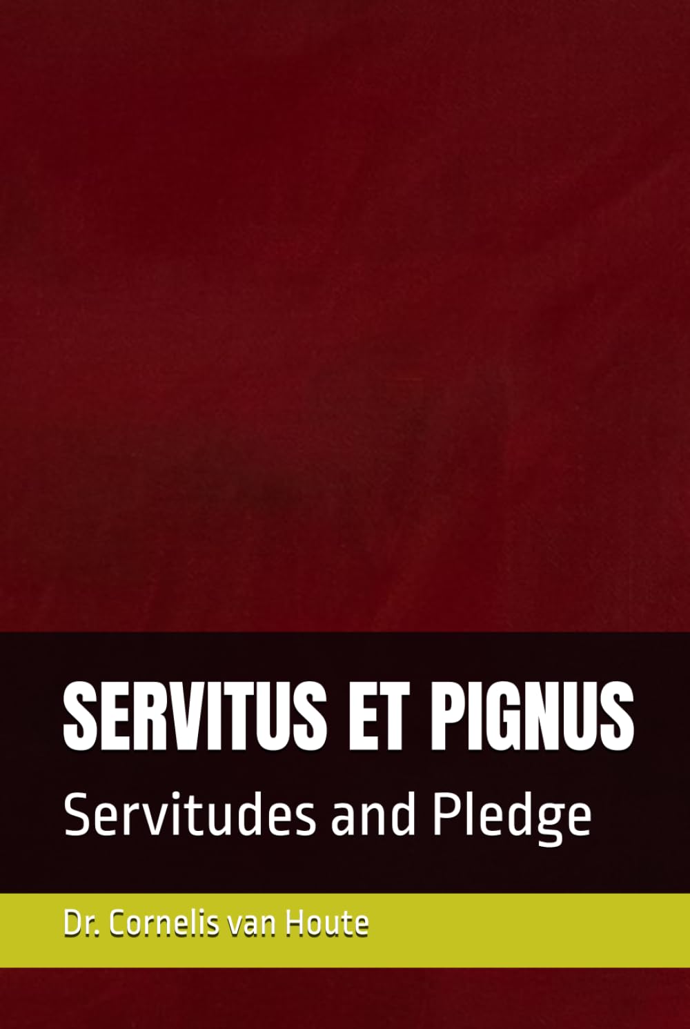 SERVITUS ET PIGNUS: Servitudes and Pledge (Roman Law Series)