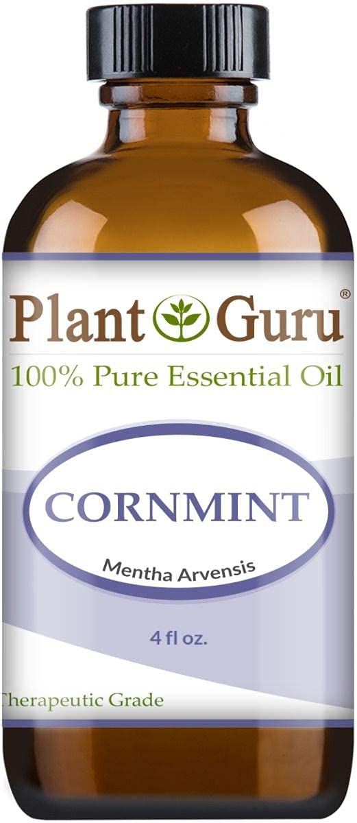 Amazon.com: Cornmint Essential Oil 4 oz (Japanese Peppermint) 100