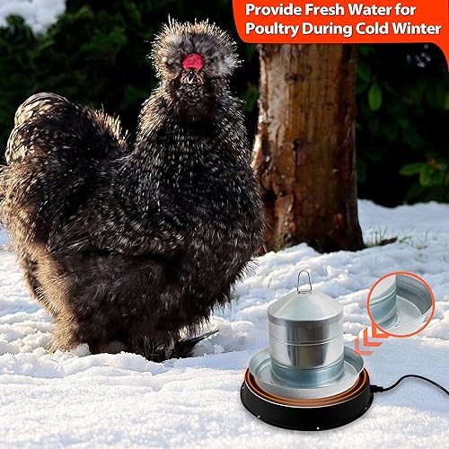 Eggluuz WY-30B Chicken Water Heater thumb #5
