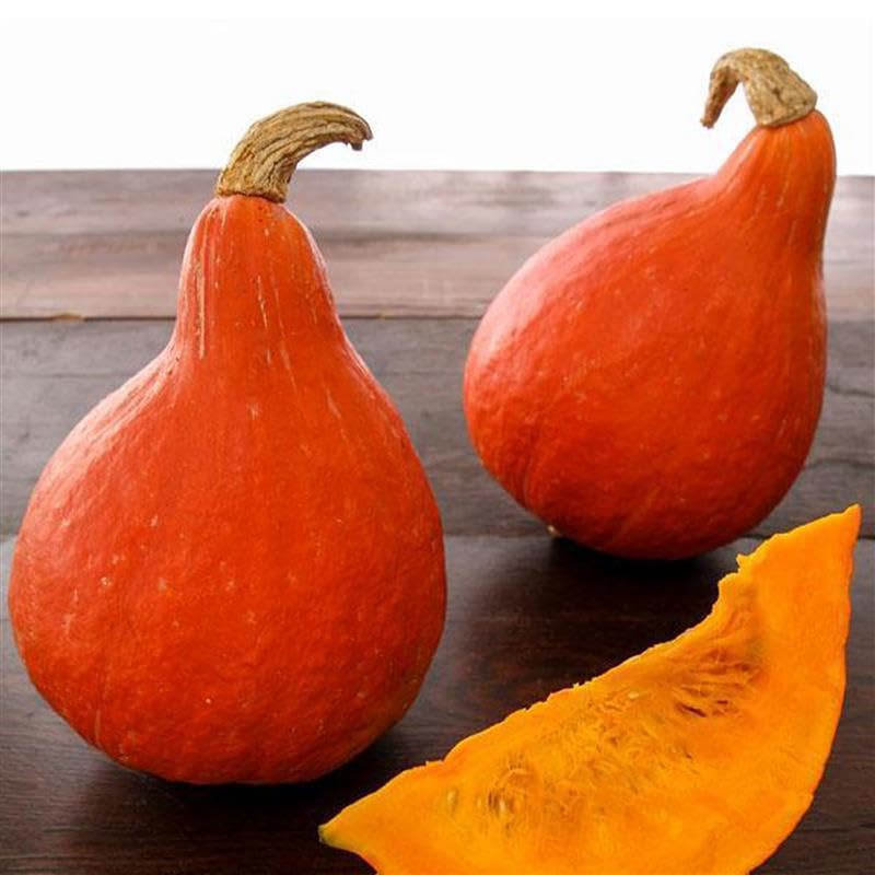 KURI♡ Amazon.com : Japanese Red Kuri Squash Seeds 1 Oz ~125 Seeds