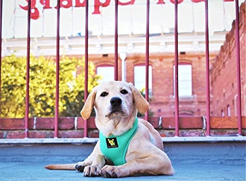 Image of EcoBark Dog Harness - Eco-Friendly Max Comfort Harnesses - Luxurious Soft Mesh Halter - Over the Head Harness Vest- No Pull and No Choke for Puppy, Toy Breeds & Small Dogs (Medium, Mint Turquoise)
