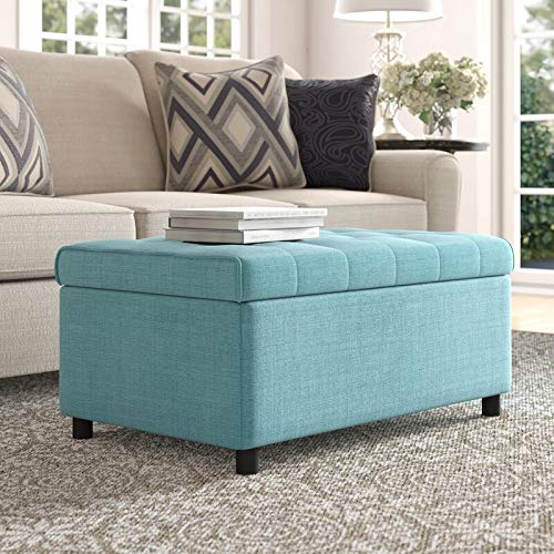 WOODSTER 2 Seater Upholstered Bench Sofa Ottoman with Storage Couch Sofa (Light Blue)