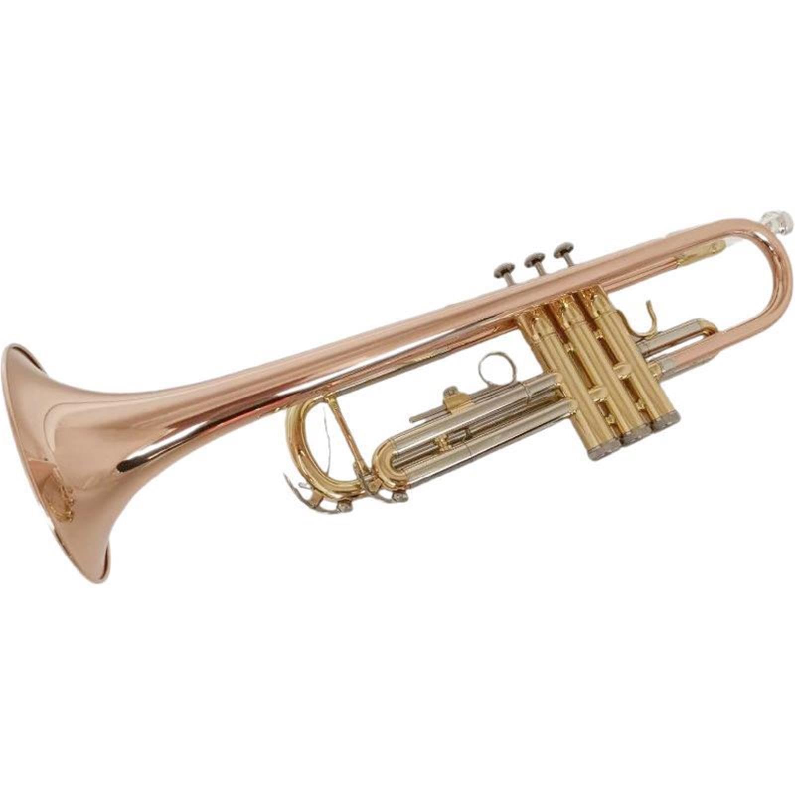 Professional Trumpet Trompeta en si bemol para principiantes