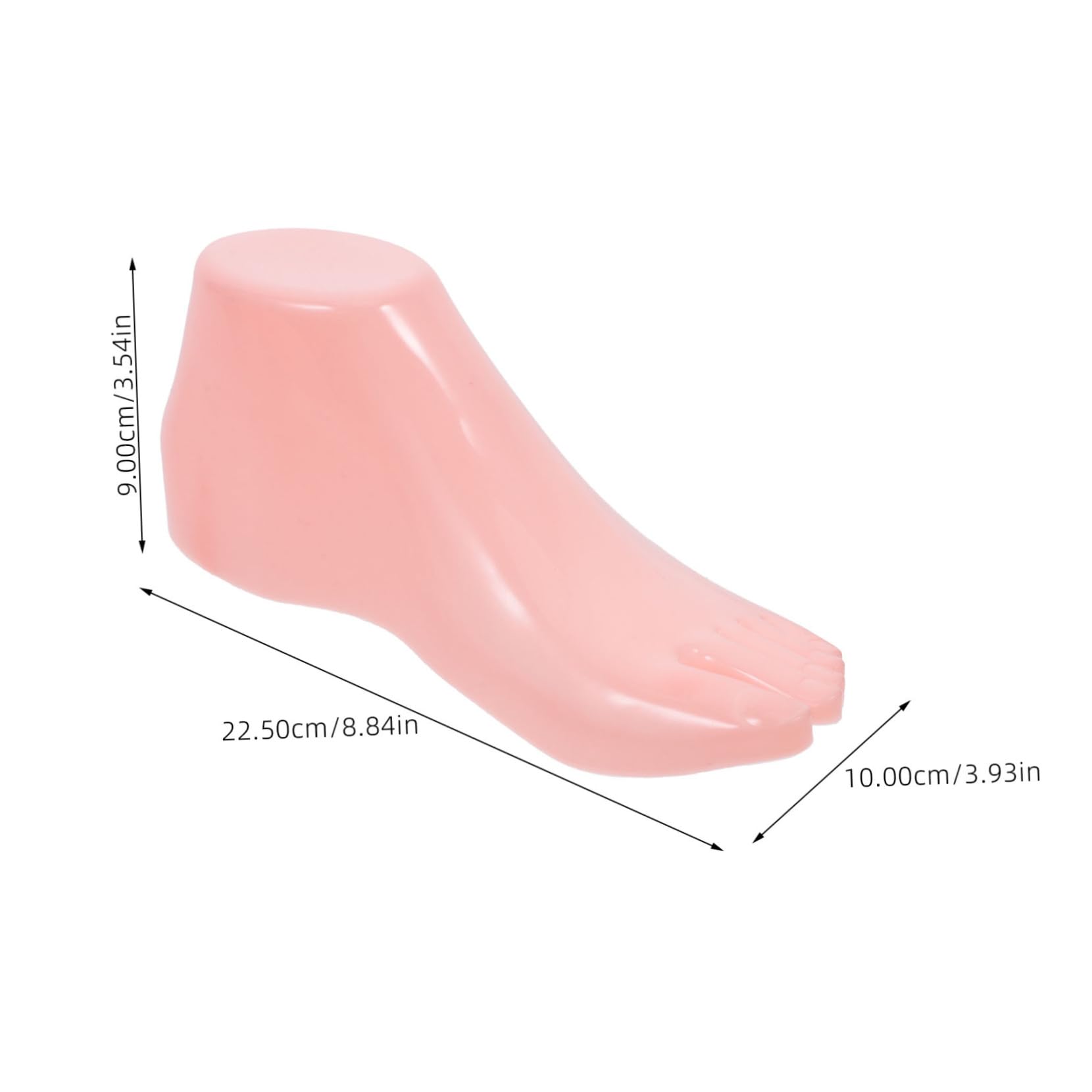 CHILDWEET Shoes Support Realistic Female Foot Model Foot Mannequin Foot Display Socks Model Long-Lasting Material