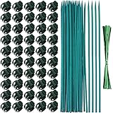 Jetec 50 Pieces Orchid Clips Plastic Garden Plant Clips with 30 Pcs Green Bamboo Plant Stakes, 30 Pcs Metallic Twist Ties for Supporting Stems Vines Stalks Grow Upright(38 cm)