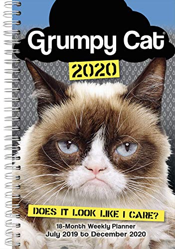 SELLERS PUBLISHING, INC. Grumpy Cat 2020 Daily Weekly Planner Organizer 18-Month: July 2019 - December 2020, 6" x 9" (CW0846)