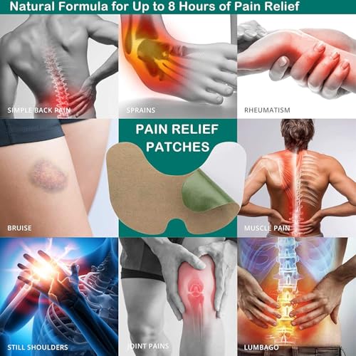 Image of VONT Herbal Knee Pain Relief Patches 40 pcs Arthritis Inflammation Patch Sticker | Instant Relief from Pain | Joint Knee Pain Relief Products Natural Wormwood Extract Patch For Knees