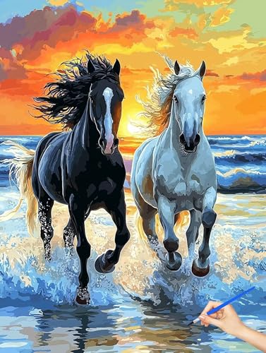 G n hG r[` Paint by Numbers io[yCg q S DIY Cheerful Painting H| |ph ANLbg l̂߂̃NGCeBuȎ av[g z[ ItBX̕