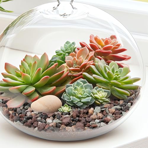 Image of 2.5lbs Mix Horticultural Lava Rock for Plants, 1 /5 Inch Potting Soil Amendment for Succulents, Cactus & Bonsai, Decorative Volcanic Gravel for Terrarium, Drainage Gritty Rock, Top Dressing