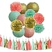MRMSLI 15pcs Mixed Mint Green, Gold, Coral. Tissue Pom Poms Tassel Garland Paper Lanterns for Birthday Party Wedding Celebration Baby Shower Festival Decoration
