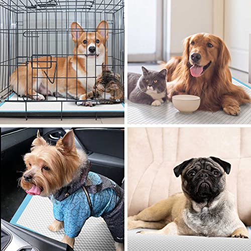 Image of Bulubaky 6 Layers Leak-Proof Super Absorbent Puppy Pads Pee Pads for Dogs, XXL Extra Large Thicken Polymer Quick Dry Wee Wee Pads, Disposable Pet Training Pads for Dogs Cats Rabbit Parrots