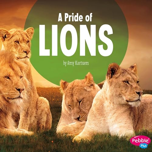 A Pride of Lions by Amy Kortuem episode artwork