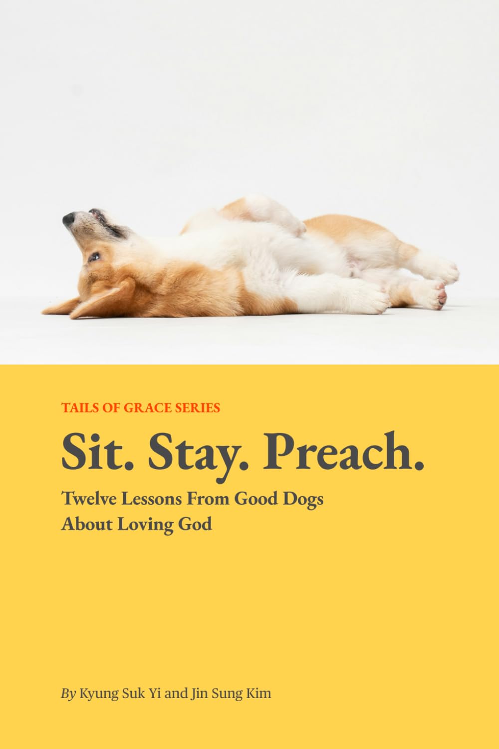 Sit. Stay. Preach.: Twelve Lessons I Learned From Dogs About Loving God (Tails of Grace)