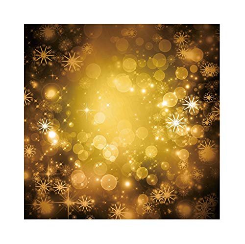 Qinunipoto 背景布 写真の背景 写真撮影用 写真背景 ぼやけたライト 金色の背景 芸術的背景 撮影布 ファッション撮影 誕生日 生放送 無反射布 子供用 スタジオのプロ背景幕 新生幼児用 ビニール 2.5x2.5m