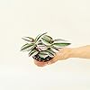 Product Photo 4
