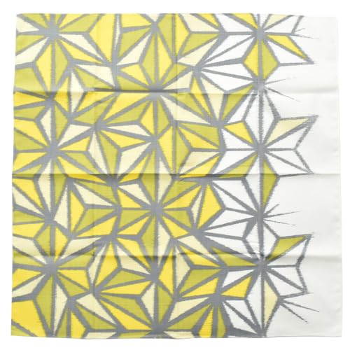 C~ ʏ { [Ȃ݂] 70_K[ ~jobO GRobO َq r fB[X 70cm ԕ_