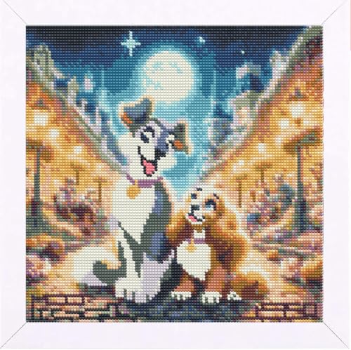 Kit peinture diamant adultes cadeau idéal broderie canevas dessin anime 35cm