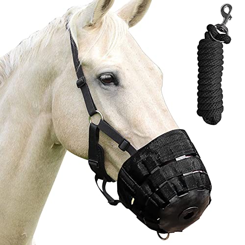 Best Grazing Muzzles For Horses in USA Bestie Talks