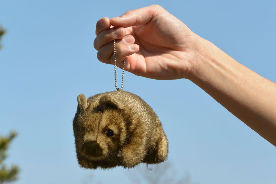 キティ　ウォンバット　大陸シリーズ　マスコット　ボールチェーン　キーホルダー キティ ウォンバット 大陸シリーズ マスコット ボールチェーン