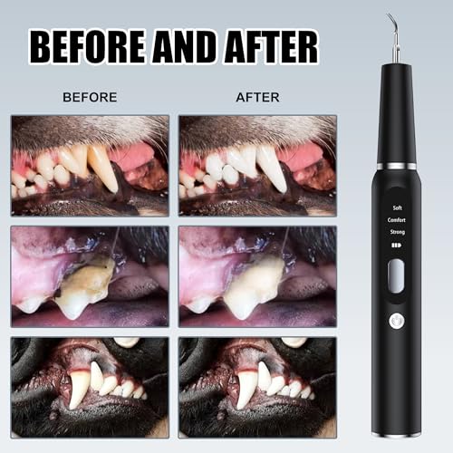 Image of Dog Plaque Tartar Remover for Teeth - Electric Pet Toothbrush with 2 Replacement Cleaning Heads, Adjustable 3 Modes Dog Toothbrush Teeth Cleaning Kit for Pet Cat (Black)
