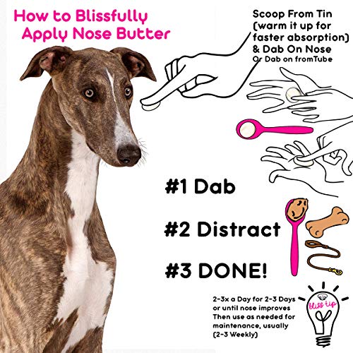 Image of The Blissful Dog Greyhound Nose Butter - Dog Nose Butter, 0.15 Ounce, NB-Grey-.15OZ