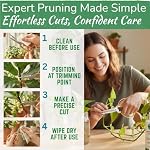 Prime Houseplant Ciseaux 100% Acier inoxydable, Clippers de jardin ultra précis pour la propagation & Rouille résistante à la rouille, taille facile et propre & Extérieur Confortable & Ambidextre