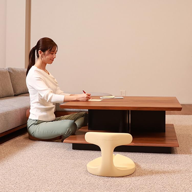 Amazon｜アーユルチェアー メディカルシート(座イス＆座面シートタイプ