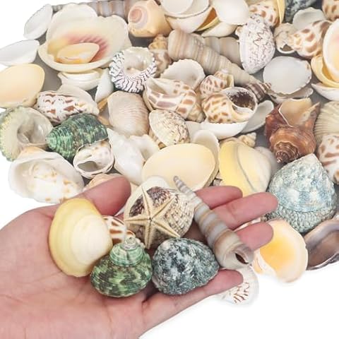 Virekm Shells for Crafts, Natural Mixed Sea Shell,Mini Conch & Starfish DIY Micro Landscape Seashells Decor for Fish Tanks Vase Fillers and Home Decorations (Approx 100PCS) Cover