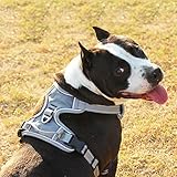 Brustgeschirr für Hunde groß